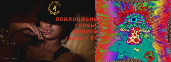 стаф Абинск