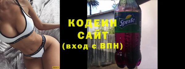шишки Абаза