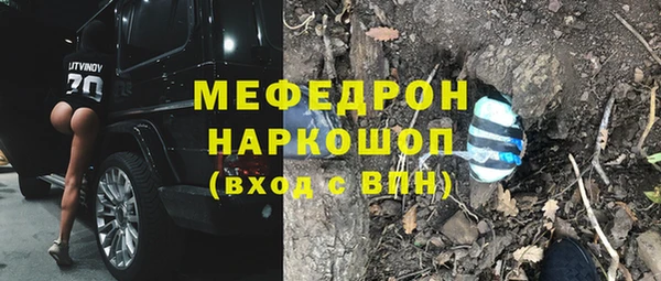 шишки Абаза