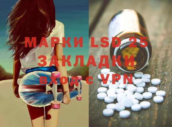 шишки Абаза