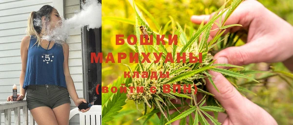 гидра Алексеевка