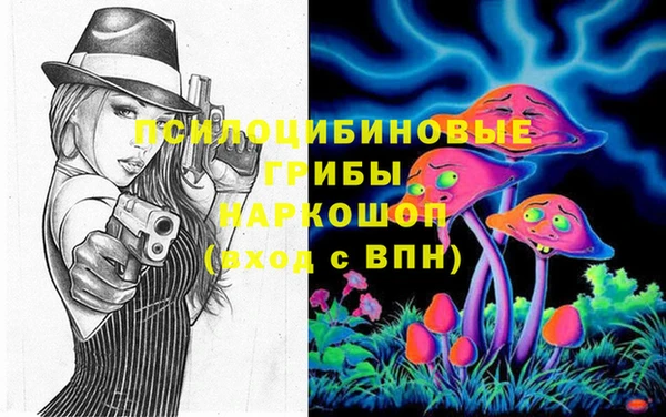 стаф Абинск